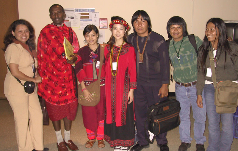 2004 UNPFII group photo