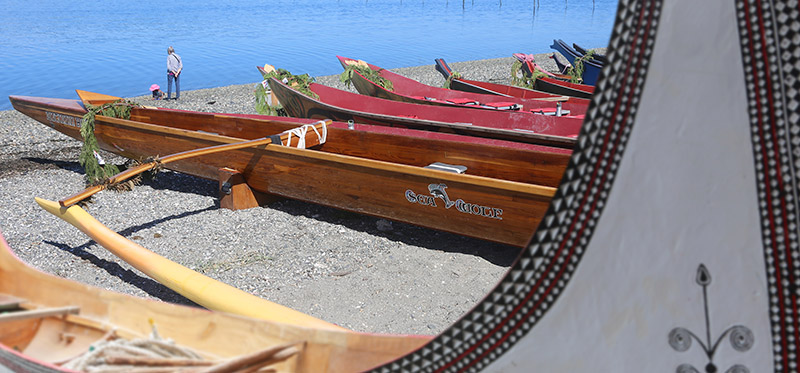 Canoes at the Tribal Canoe Journey